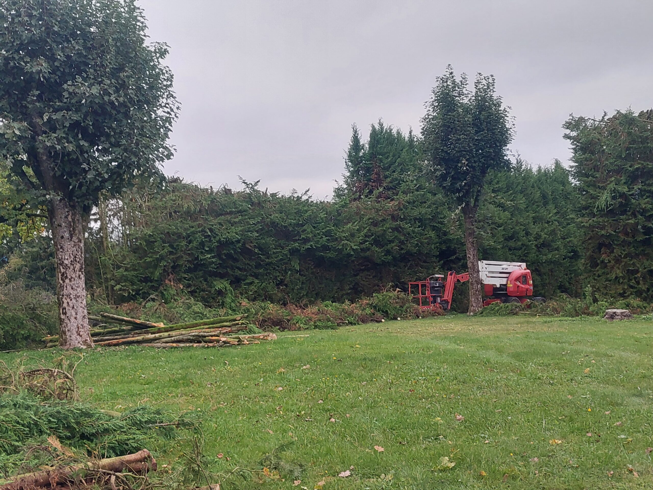 Entretien et plantation jardinier Luxembourg
